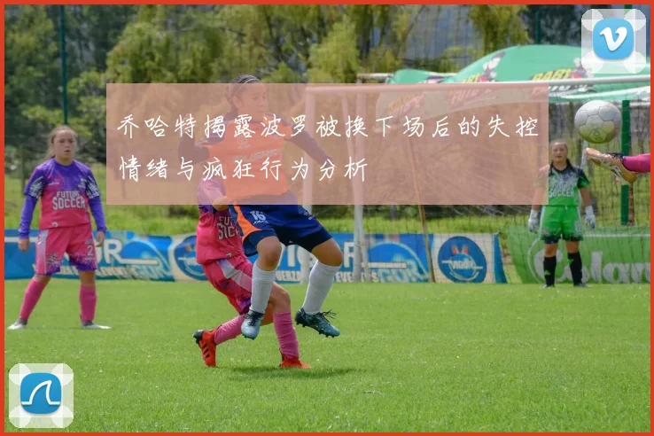 乔哈特揭露波罗被换下场后的失控情绪与疯狂行为分析